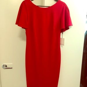Size 8 Calvin Klein Red Dress